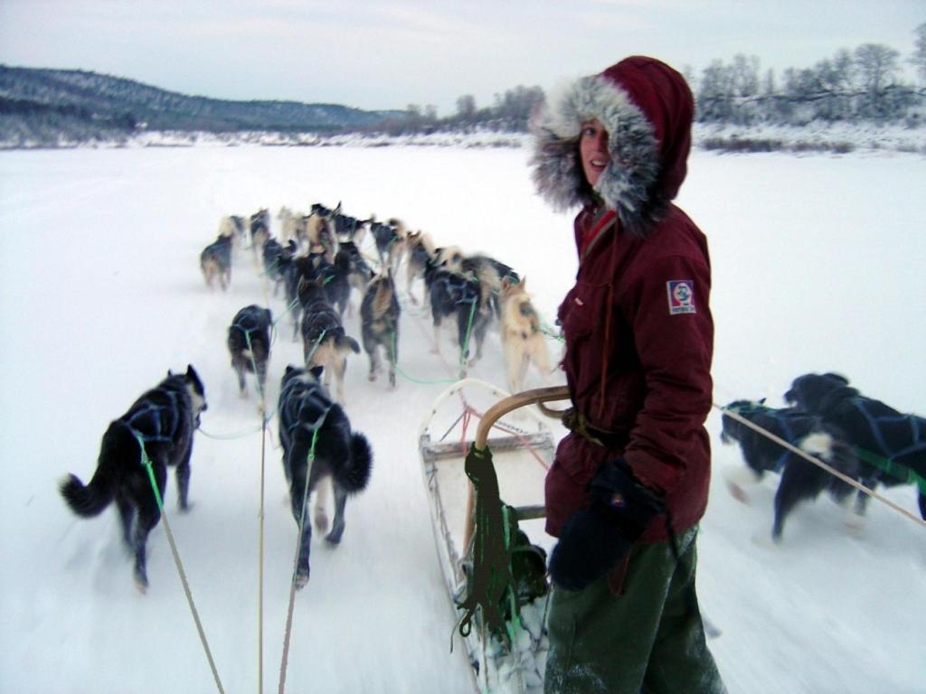 Hytte Engholm Husky Design *