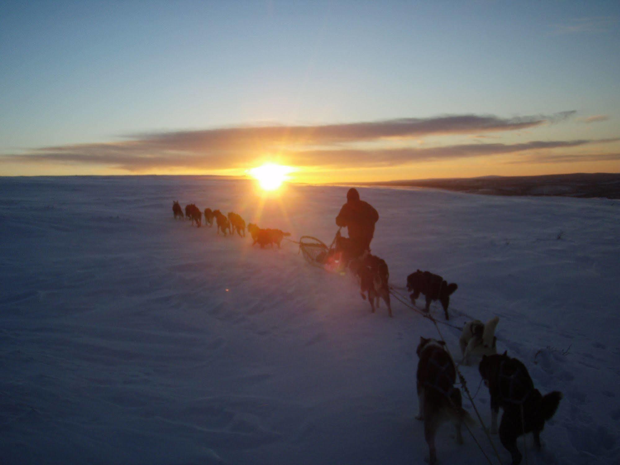 Engholm Husky Design Hytte *